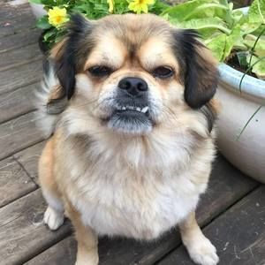 Meet your Posher, Bethia